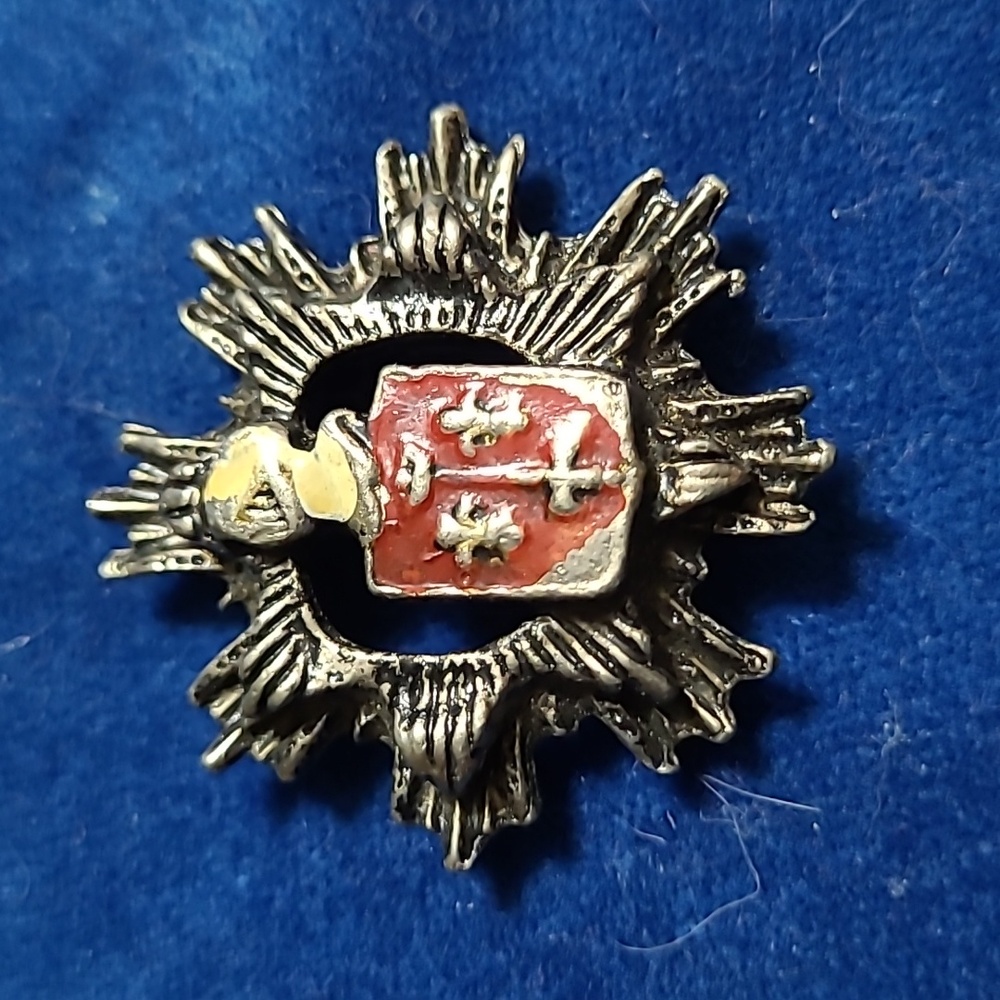 🌼2/$12 Vintage crest brooch in GUC